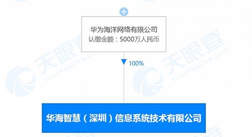 華為海洋深圳新公司成立，深耕數(shù)據(jù)處理領域